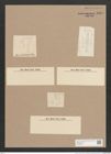 Navicula sp. (de-Toni-Nr.: Genus 1, Species 2056 ?) Zeichnungen Sammlung Grunow Nr. 1509 (NHMW-BOT-W0368026)